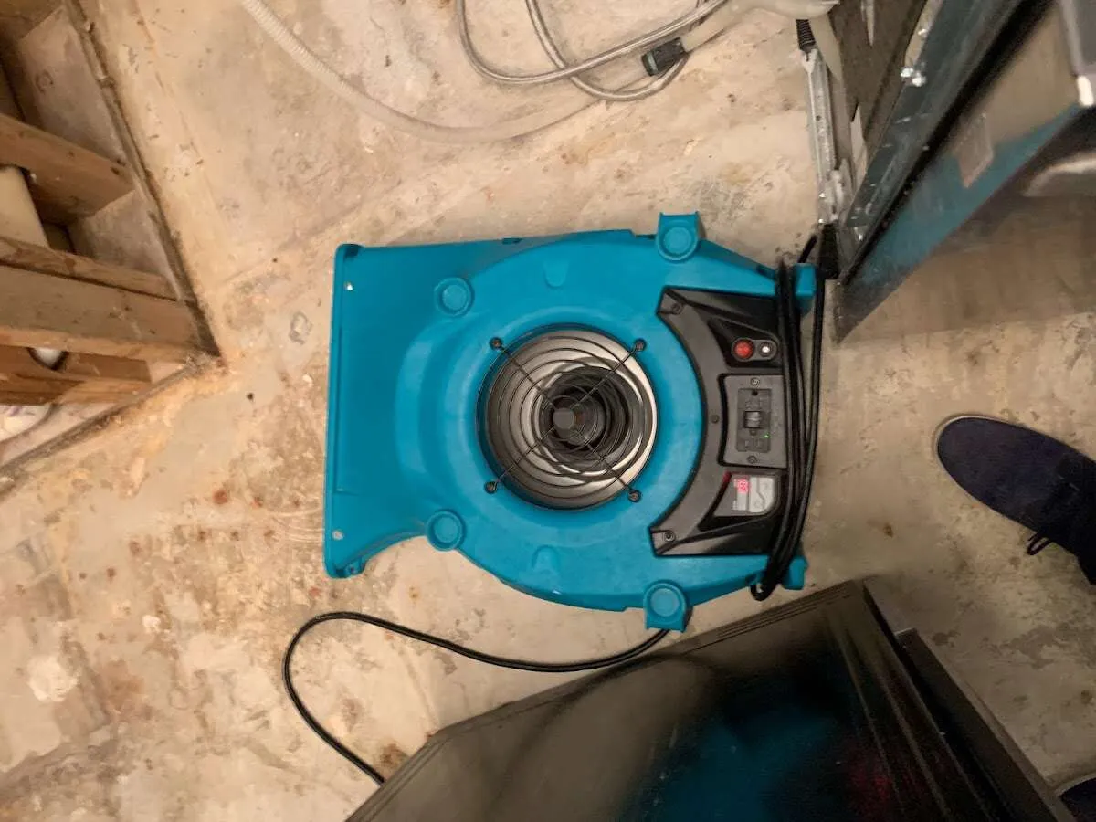 Air mover drying equipment for Mold Remediation & Removal in Pleasantville